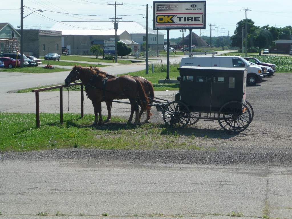 Horse and Buggy