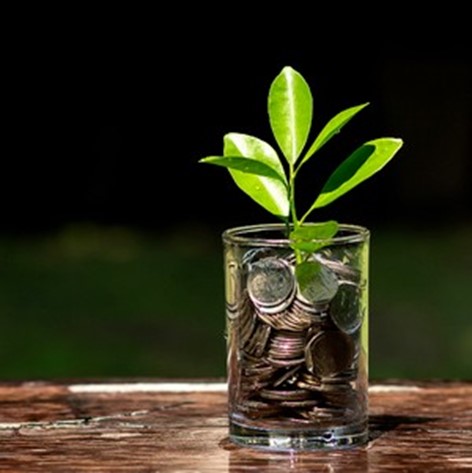 picture of plant growing out of jar with coins