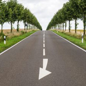 Tree-lined road with middle dotted line; the last line on the road an arrow pointing down