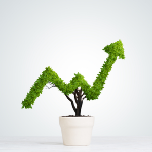 Picture of plant in pot. Leaves are in the shape of arrow pointing upward