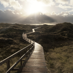 Boardwalk path