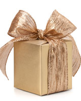 Receipting - What Types of Gifts May be Receipted