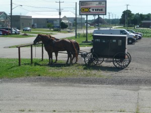 Horse and buggy in a parking lot