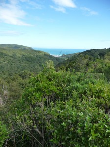 Looking toward Piha Beach