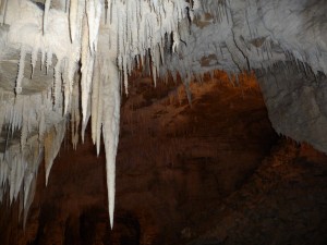 Waitomo Caves