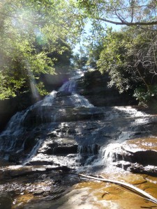 Wentworth Falls, Blue Mountains