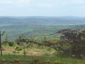 Rwandan countryside