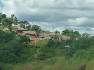 A Malawian village