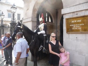 Horse Guard and horse