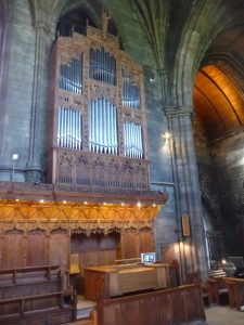 The organ