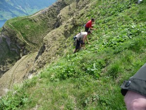 Two mountain climbers