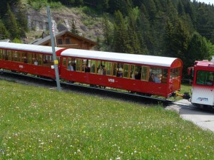 Cog wheel train