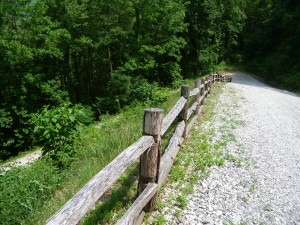 The driveway