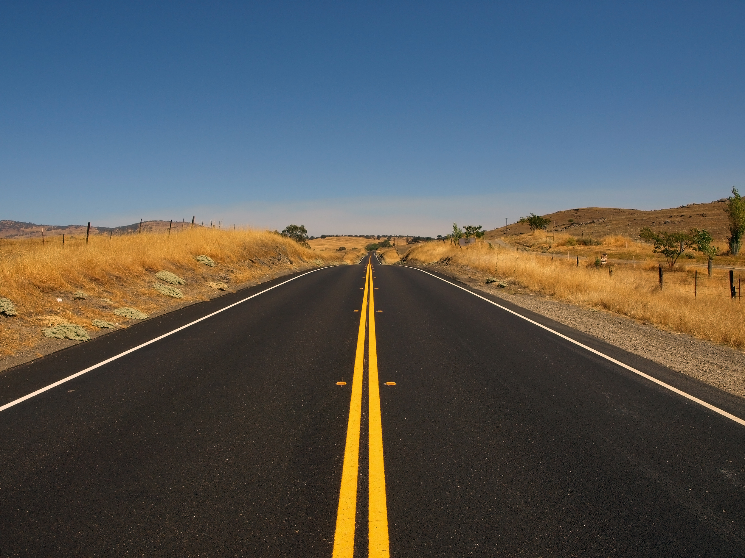 My Wife, My COO, and a Director: Perspectives on My Sabbatical
