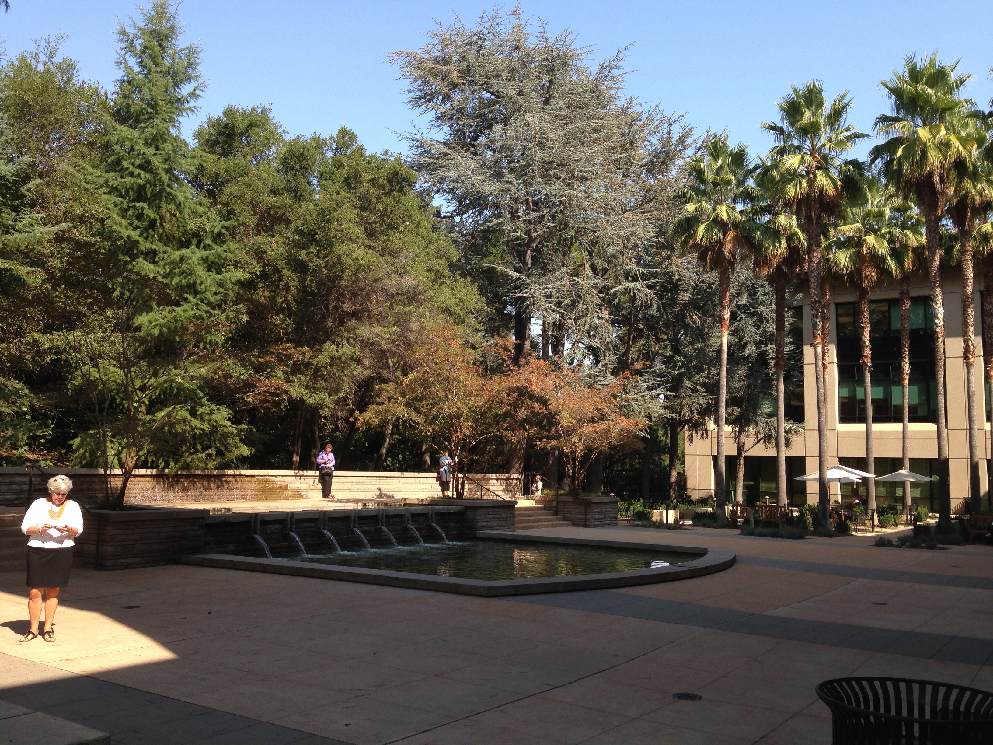 At Stanford University: Scaling Nonprofits