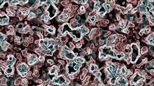 bacteria-1171350