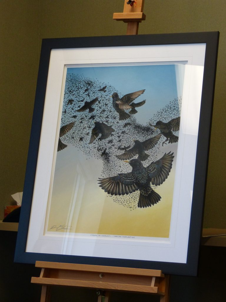 Drawing of starlings