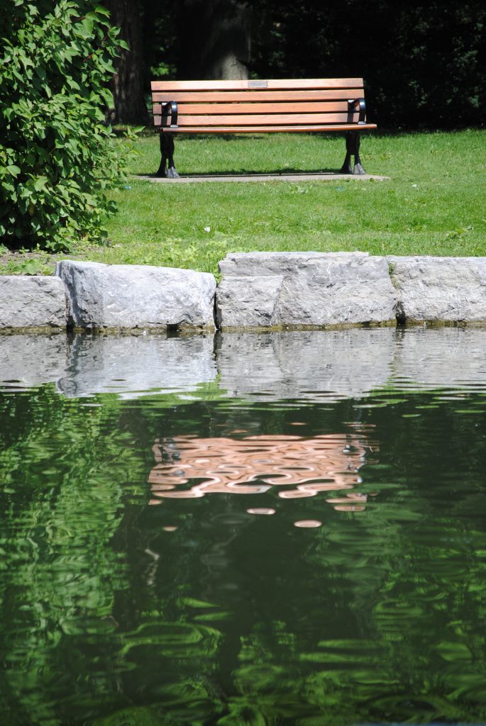 Photo of a park bench