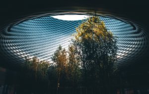 modern building with trees inside