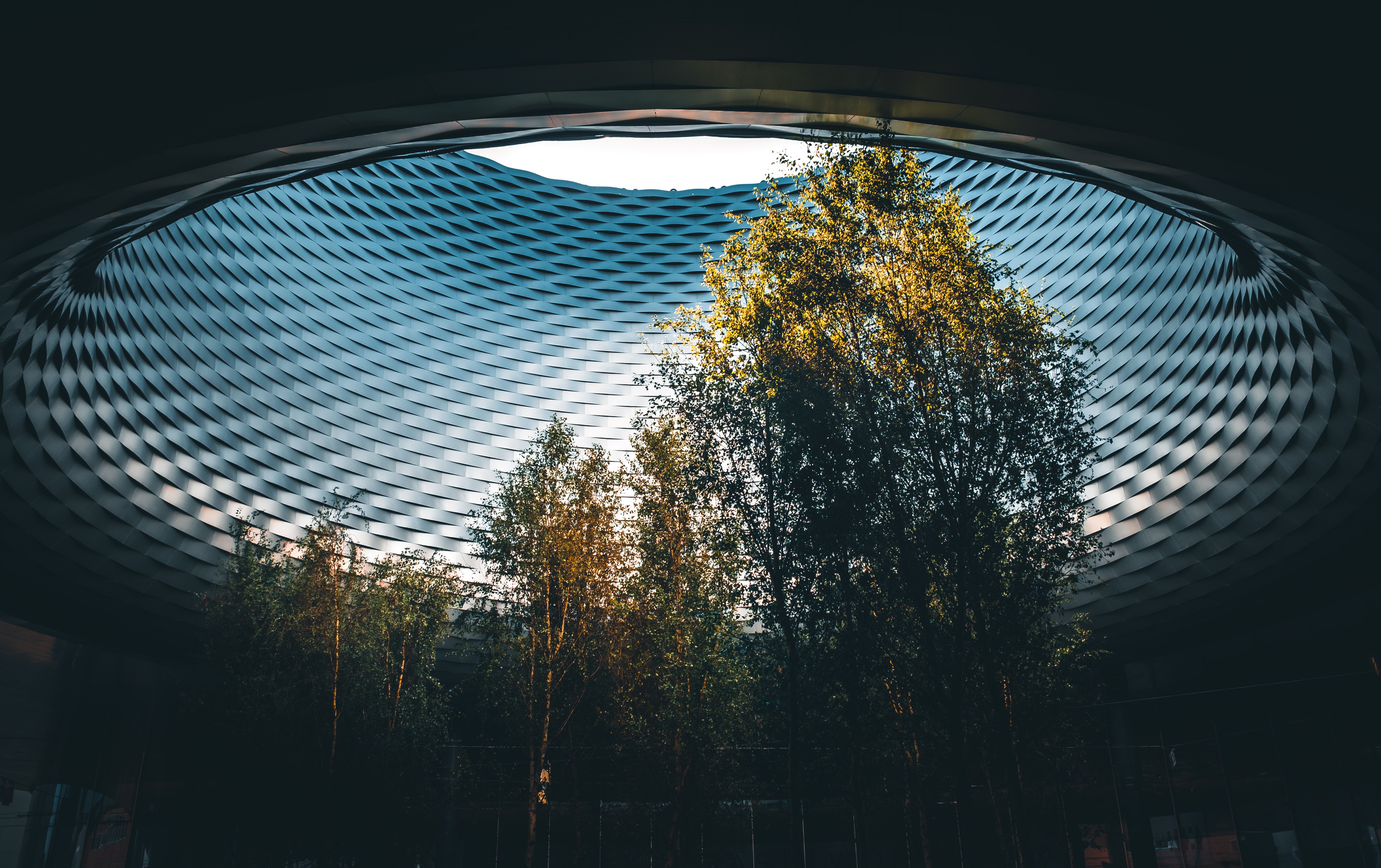 The Creation Mandate: Our Responsibility and Our Bridge