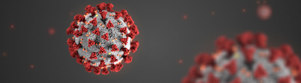 Coronavirus: Inform & Prepare Your Organization