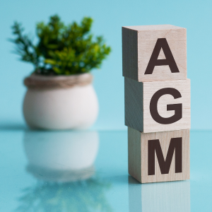 AGMs for Federally Incorporated Charities Back to Normal… Sort of