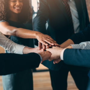 Apply to Join the Advisory Committee on the Charitable Sector in 2025
